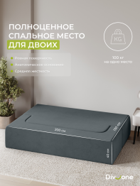 Бескаркасный диван-кровать Дадли 2000*1050мм., велюр