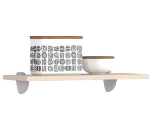 Регина РПО-50 Полка